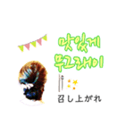 私たち慶尚道サトゥリ女子 pt.2（個別スタンプ：11）