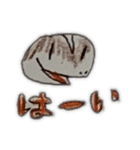 トカゲモドキーズ（個別スタンプ：25）