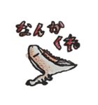 トカゲモドキーズ（個別スタンプ：27）