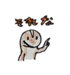 トカゲモドキーズ（個別スタンプ：29）