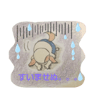 わんころのキモチ（個別スタンプ：4）