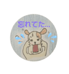 わんころのキモチ（個別スタンプ：7）