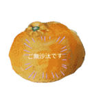 いろんなやさい（個別スタンプ：2）