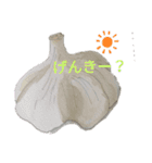 いろんなやさい（個別スタンプ：3）