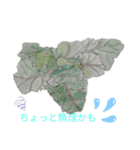 いろんなやさい（個別スタンプ：35）