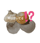 いろんなやさい（個別スタンプ：36）
