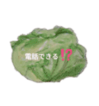 いろんなやさい（個別スタンプ：38）