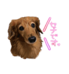 セナちゃんスタンプです（個別スタンプ：1）