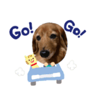 セナちゃんスタンプです（個別スタンプ：4）
