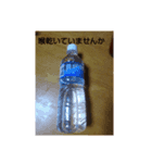 GUSCIO（個別スタンプ：8）