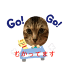 おにゃんこさま2020（個別スタンプ：4）