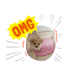 モコココ（個別スタンプ：5）