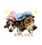 ビーグル戦隊・smap（個別スタンプ：8）