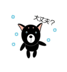 シュールな豆柴のぬいぐるみ犬 ”LIN"（個別スタンプ：14）