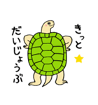 かめぽん（個別スタンプ：1）