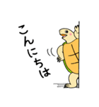かめぽん（個別スタンプ：3）