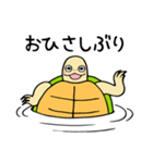 かめぽん（個別スタンプ：6）