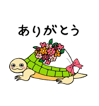 かめぽん（個別スタンプ：11）