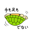 かめぽん（個別スタンプ：13）