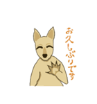 カンガルーのガルちゃんです。（個別スタンプ：1）