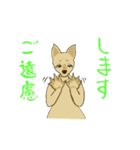 カンガルーのガルちゃんです。（個別スタンプ：29）