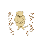 カンガルーのガルちゃんです。（個別スタンプ：30）