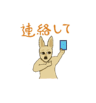 カンガルーのガルちゃんです。（個別スタンプ：34）