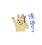 カンガルーのガルちゃんです。（個別スタンプ：35）
