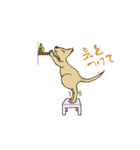 カンガルーのガルちゃんです。（個別スタンプ：37）