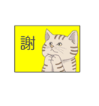 わかりやすい猫達（個別スタンプ：1）