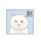 わかりやすい猫達（個別スタンプ：11）