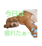 JESSIE.M（個別スタンプ：2）