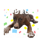 JESSIE.M（個別スタンプ：6）