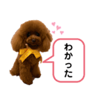 ありっくまfam（個別スタンプ：8）