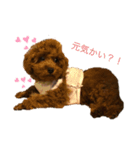 ルイの担当（個別スタンプ：7）