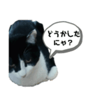 らむね様のスタンプ(1)（個別スタンプ：1）