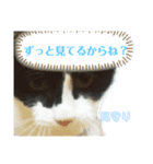 らむね様のスタンプ(1)（個別スタンプ：5）