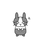 ウサギのみーさん（個別スタンプ：15）