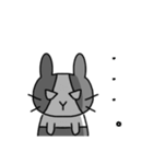 ウサギのみーさん（個別スタンプ：21）