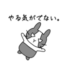 ウサギのみーさん（個別スタンプ：24）