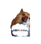 グルスタンプ（個別スタンプ：3）
