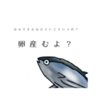日常かつおスタンプ（個別スタンプ：13）