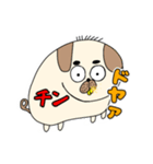 金出っ歯と会長の猫（個別スタンプ：1）