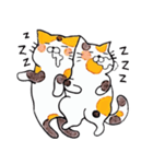 猫カップルの日常（個別スタンプ：4）