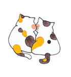猫カップルの日常（個別スタンプ：5）