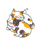 猫カップルの日常（個別スタンプ：7）