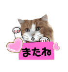 にゃんにゃんサンタ（個別スタンプ：2）