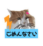 にゃんにゃんサンタ（個別スタンプ：3）