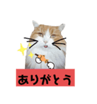 にゃんにゃんサンタ（個別スタンプ：8）