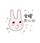 頑張っているうさぎのスタンプ（個別スタンプ：5）